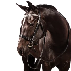 FFE Split Wave Dressage Snaffle Bridle