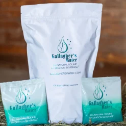 Gallagher's Water - Pack of 12