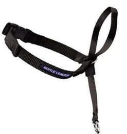 Gentle Leader Head Collar Small Black