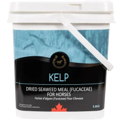 Golden Horseshoe Kelp 5.5 kg