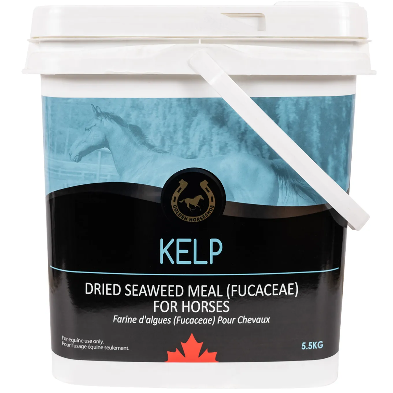 Golden Horseshoe Kelp 5.5 kg