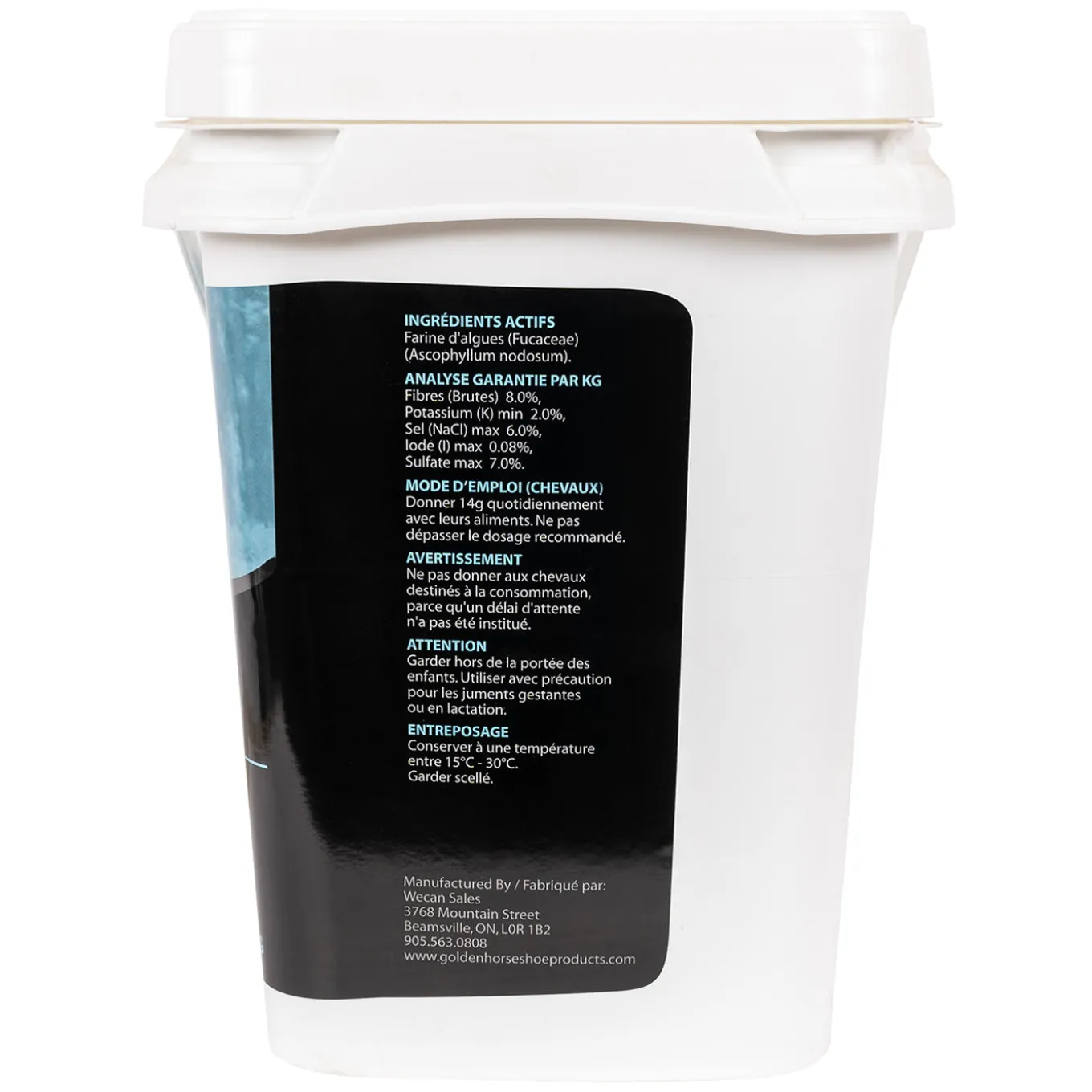 Golden Horseshoe Kelp 5.5 kg