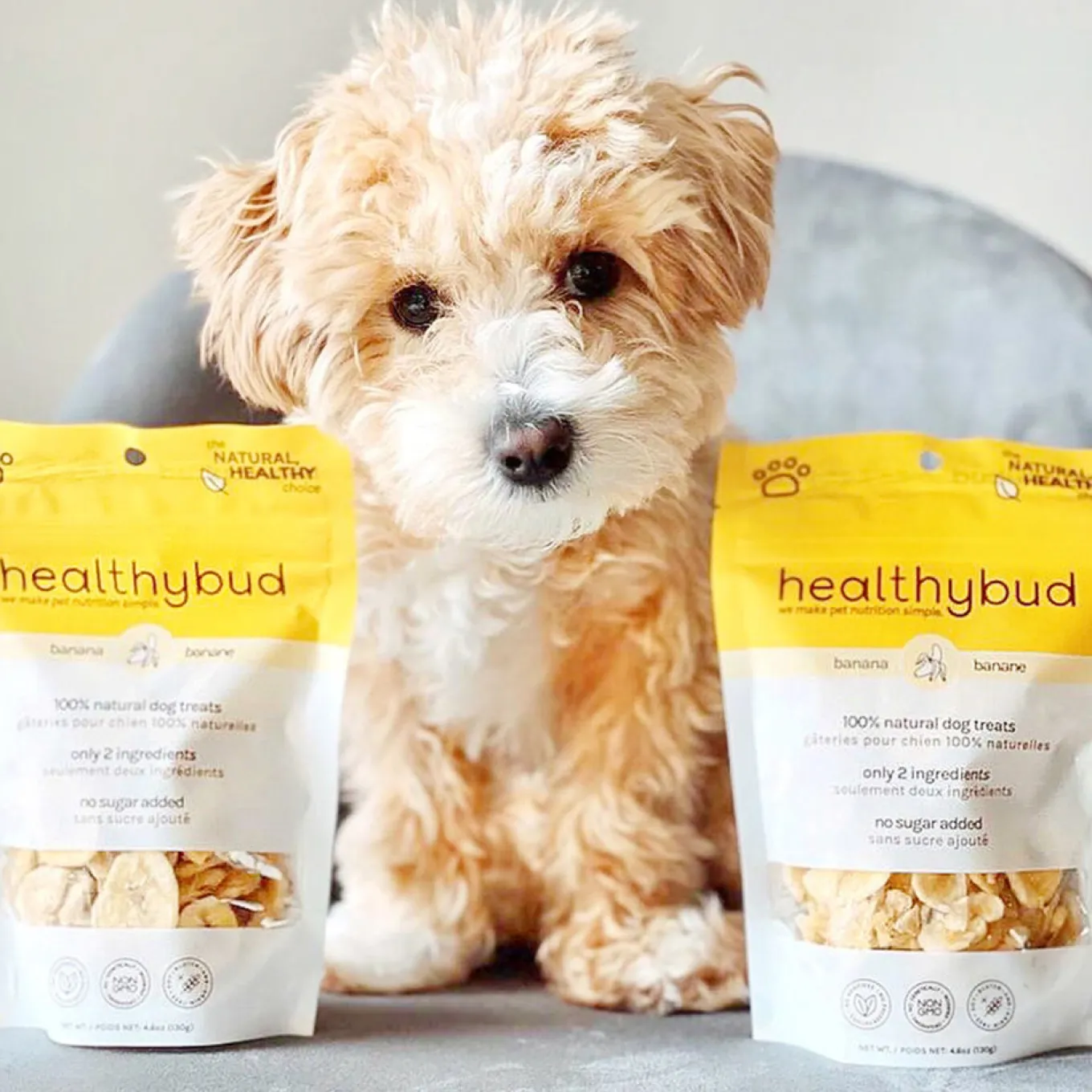 Healthybud Banana Chips Dog Treats 150 g