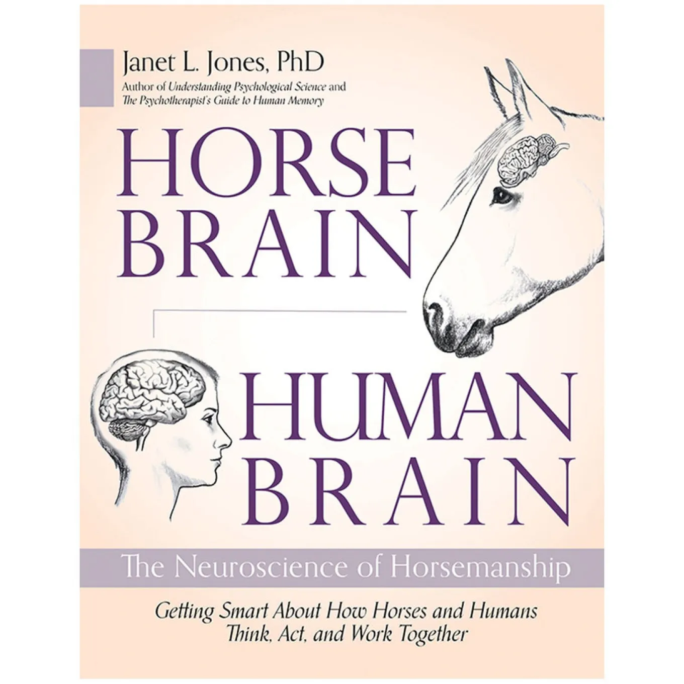 Horse Brain, Human Brain
