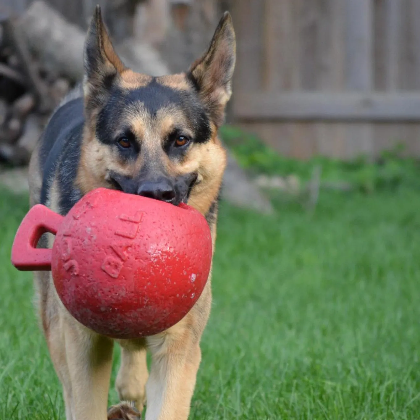 Horsemen's Pride Tug-n-Toss Jolly Ball 25 cm