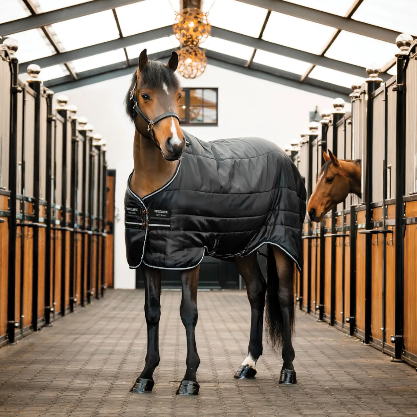 Horseware Easy-Layer Stable Blanket 100 g