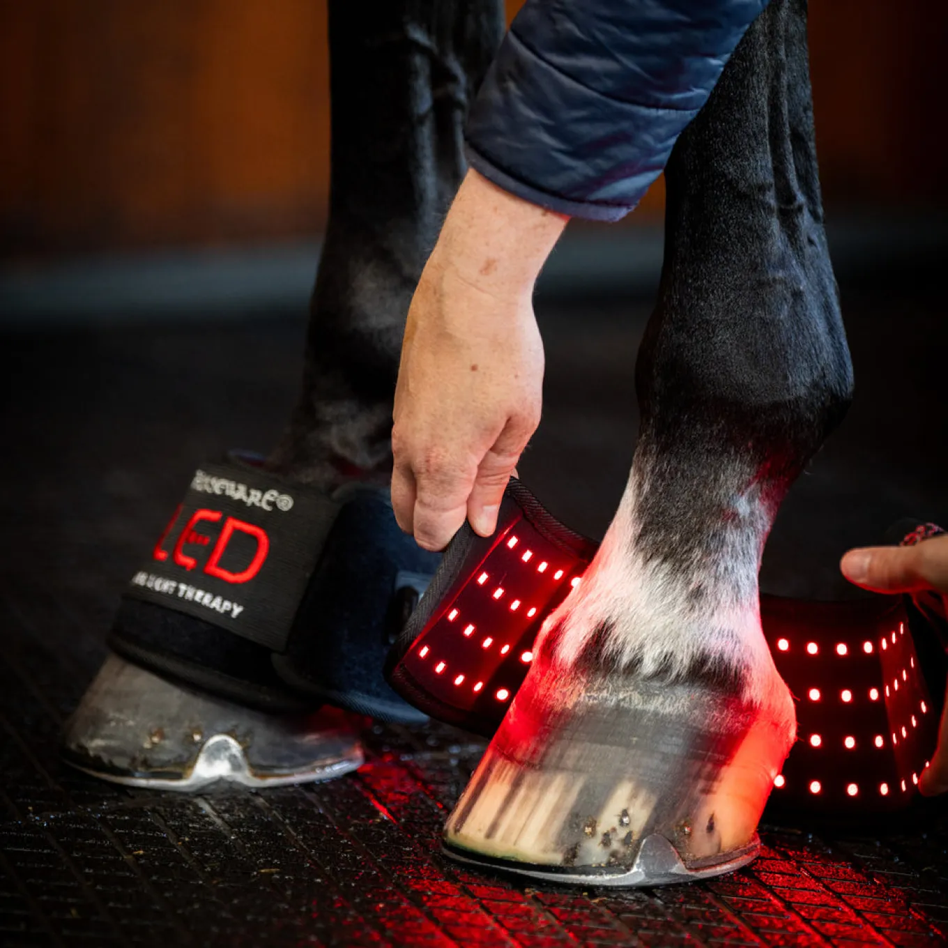 Horseware LED Red Light Therapy Mini Wrap