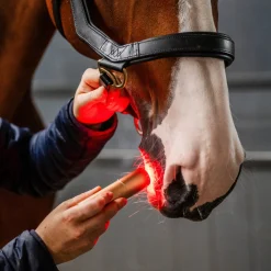 Horseware LED Red Light Therapy Wand