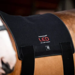 Horseware LED Red Light Therapy Pad