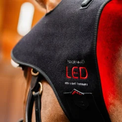 Horseware LED Red Light Therapy Poll Cap