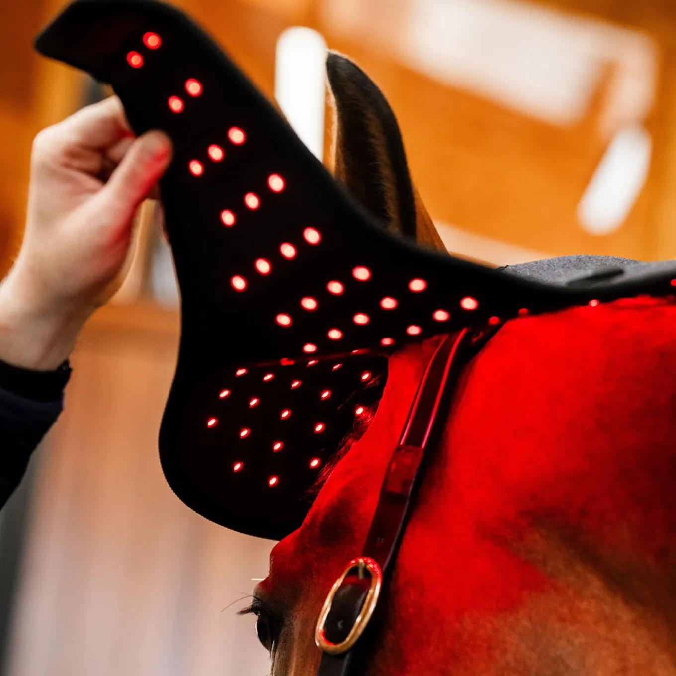 Horseware LED Red Light Therapy Poll Cap