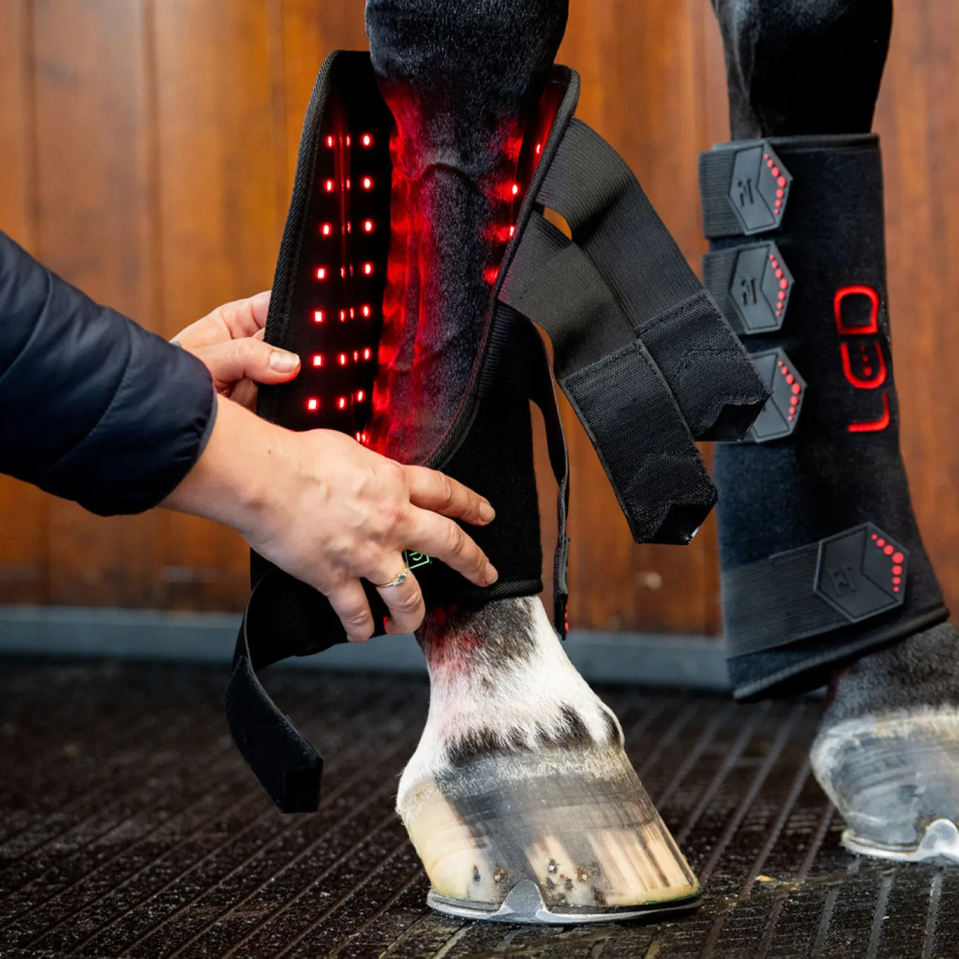 Horseware LED Red Light Therapy Right Leg Wrap