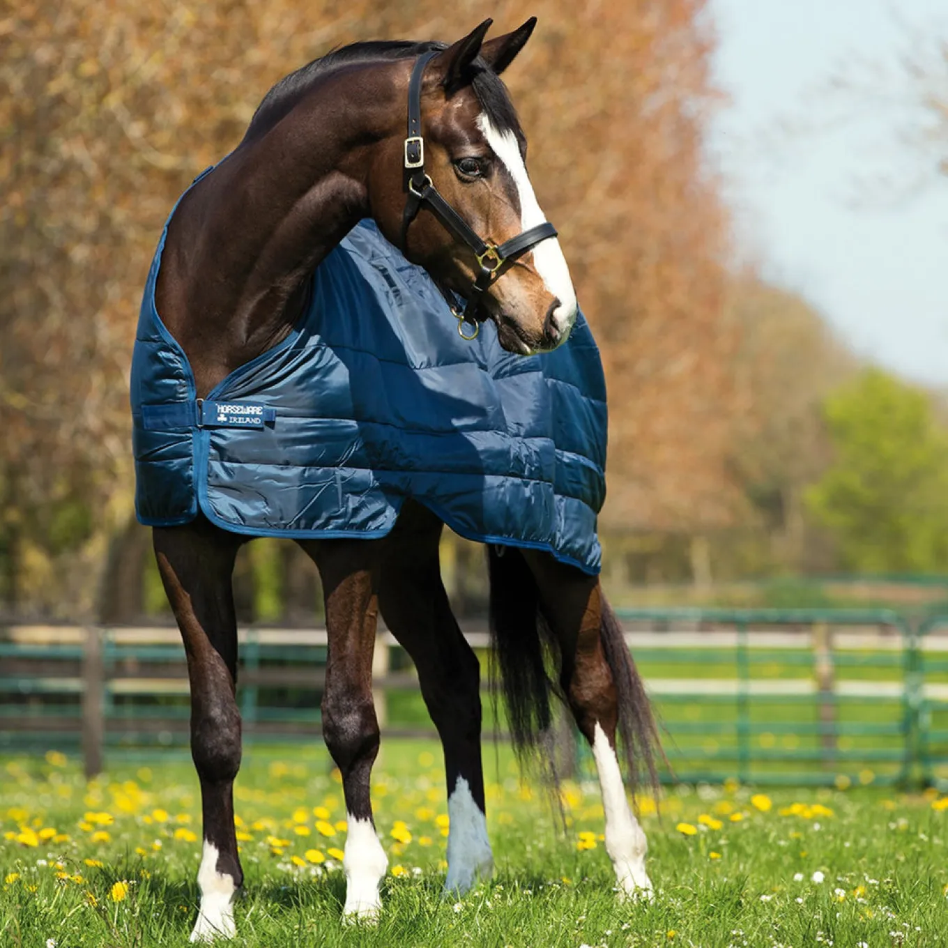 Horseware Liner 300 g