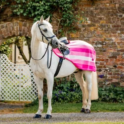 Horseware Newmarket Exercise Sheet