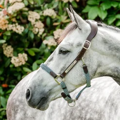 Horseware Signature Braided Breakaway Halter