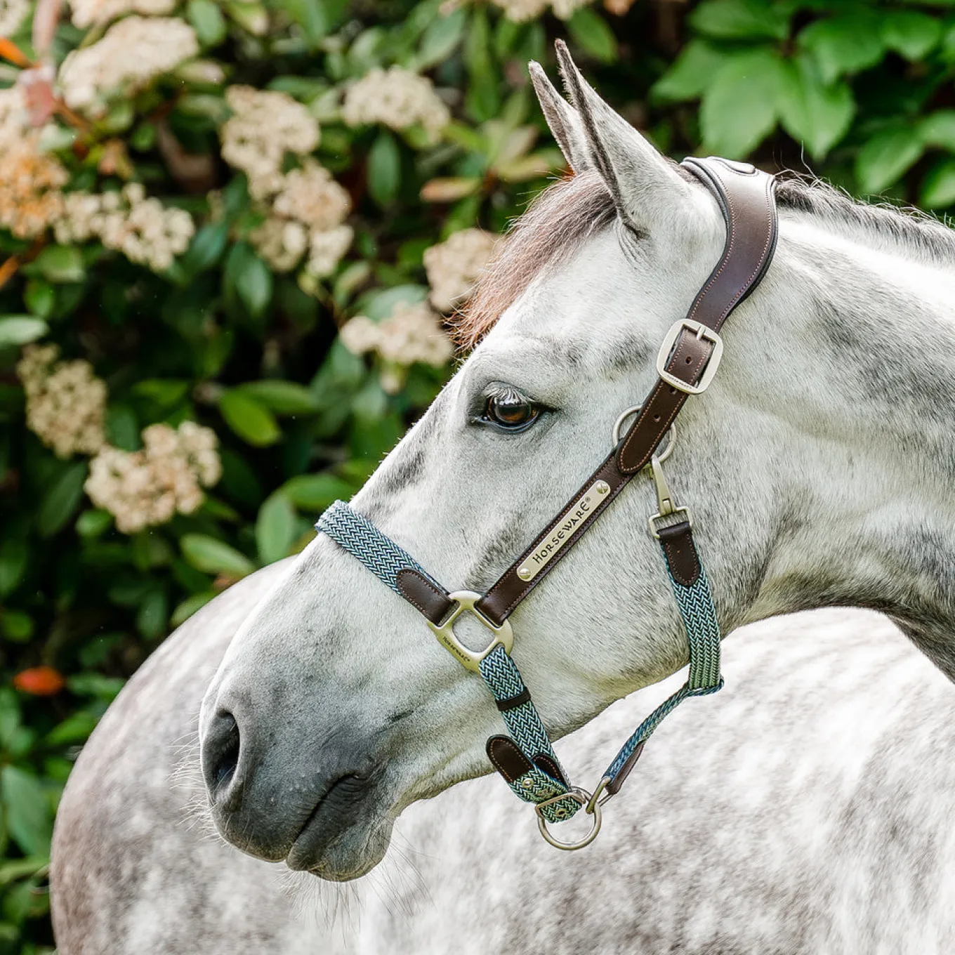 Horseware Signature Braided Breakaway Halter