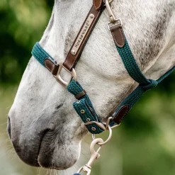 Horseware Signature Braided Breakaway Halter