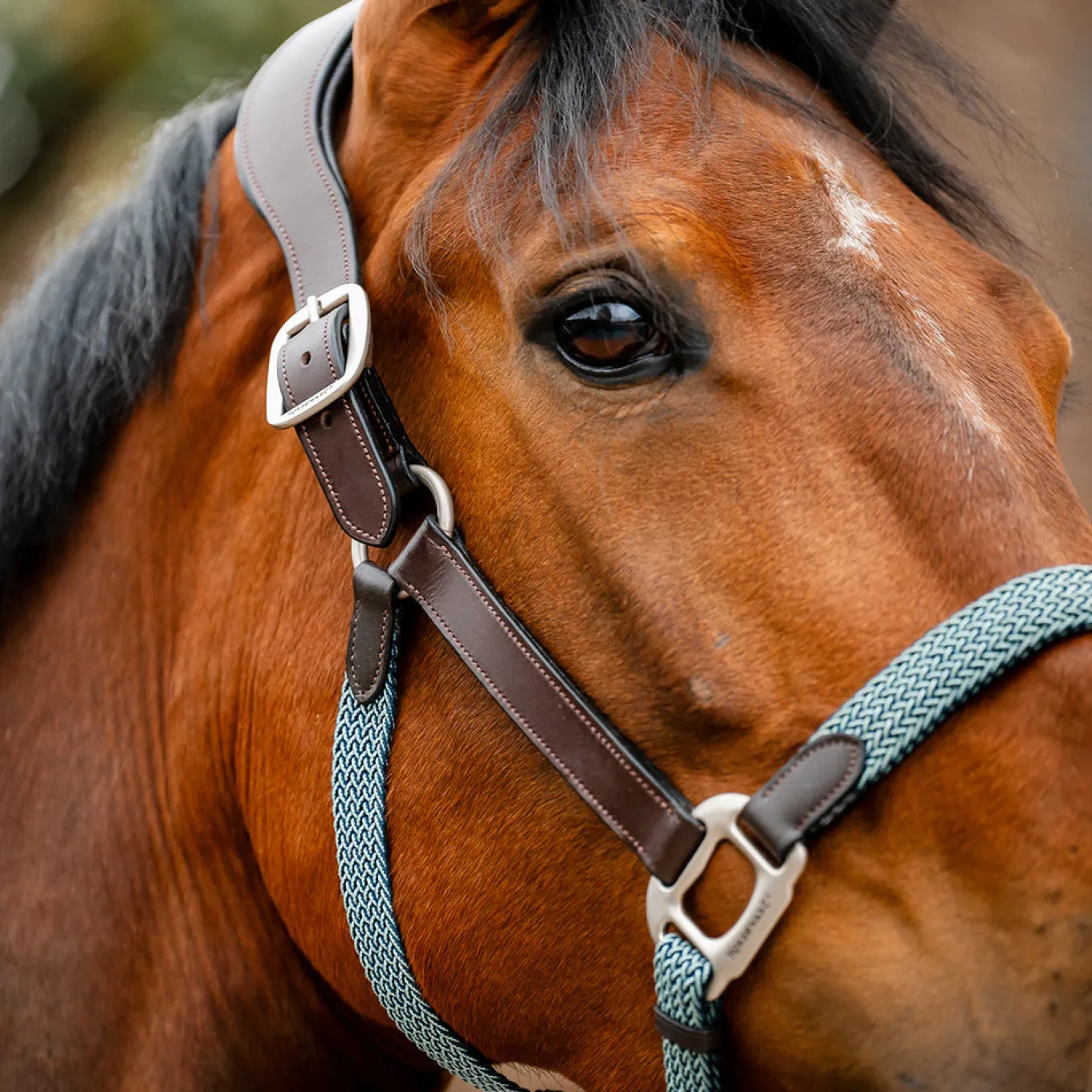 Horseware Signature Braided Breakaway Halter