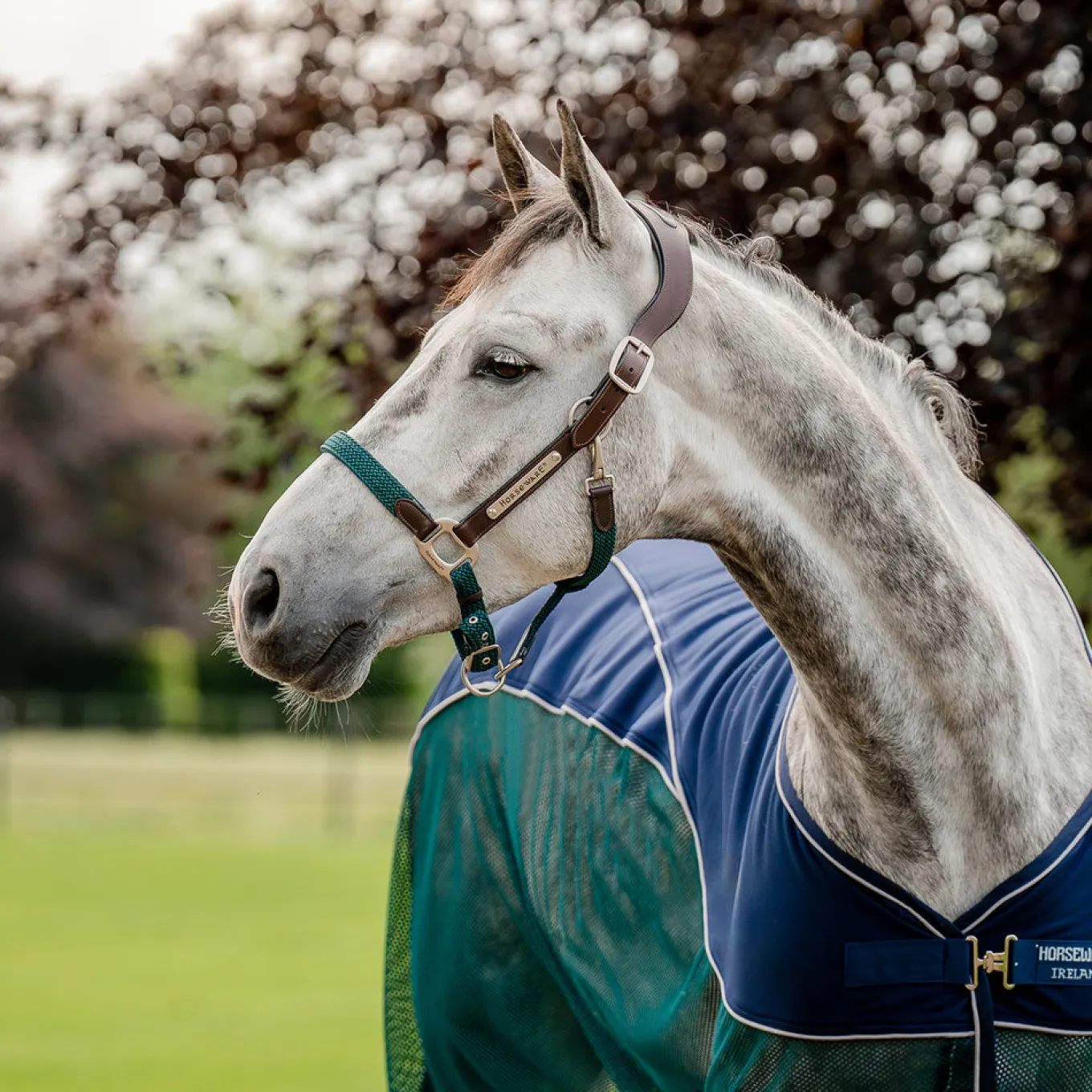Horseware Signature Braided Breakaway Halter