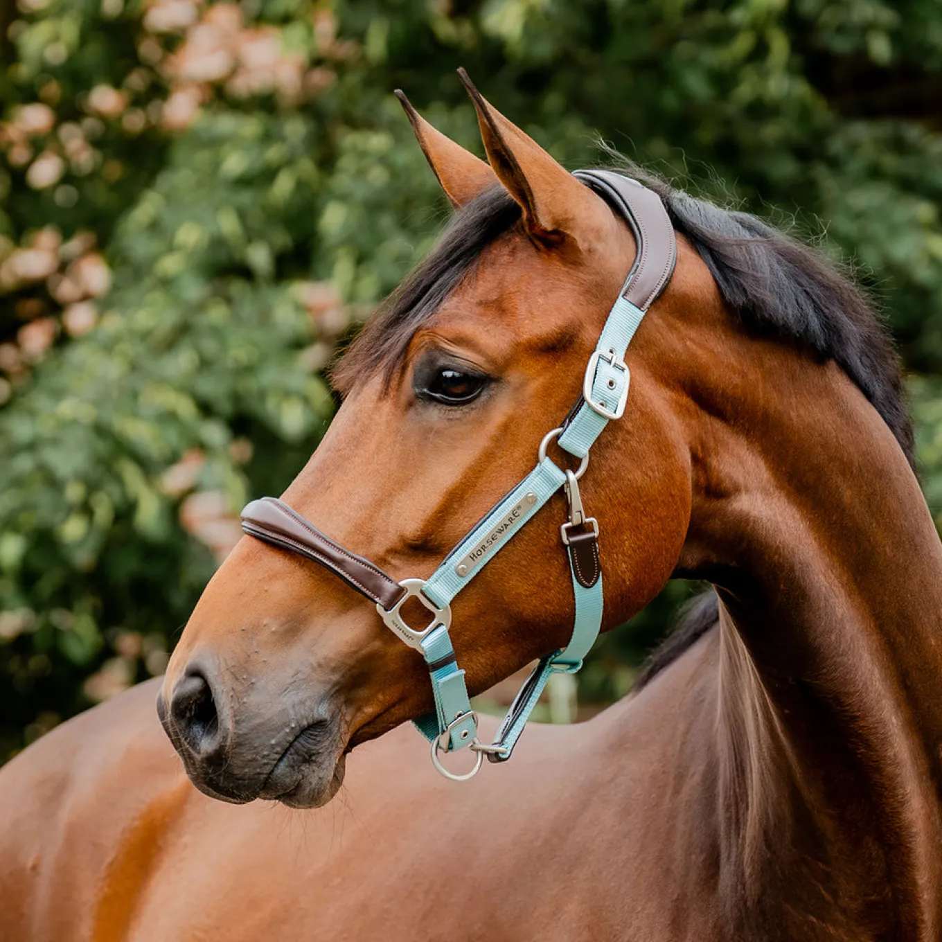Horseware Signature Competition Halter