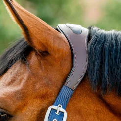 Horseware Signature Competition Halter