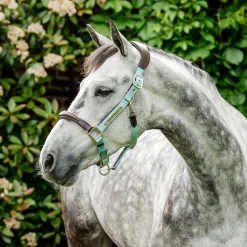 Horseware Signature Competition Halter