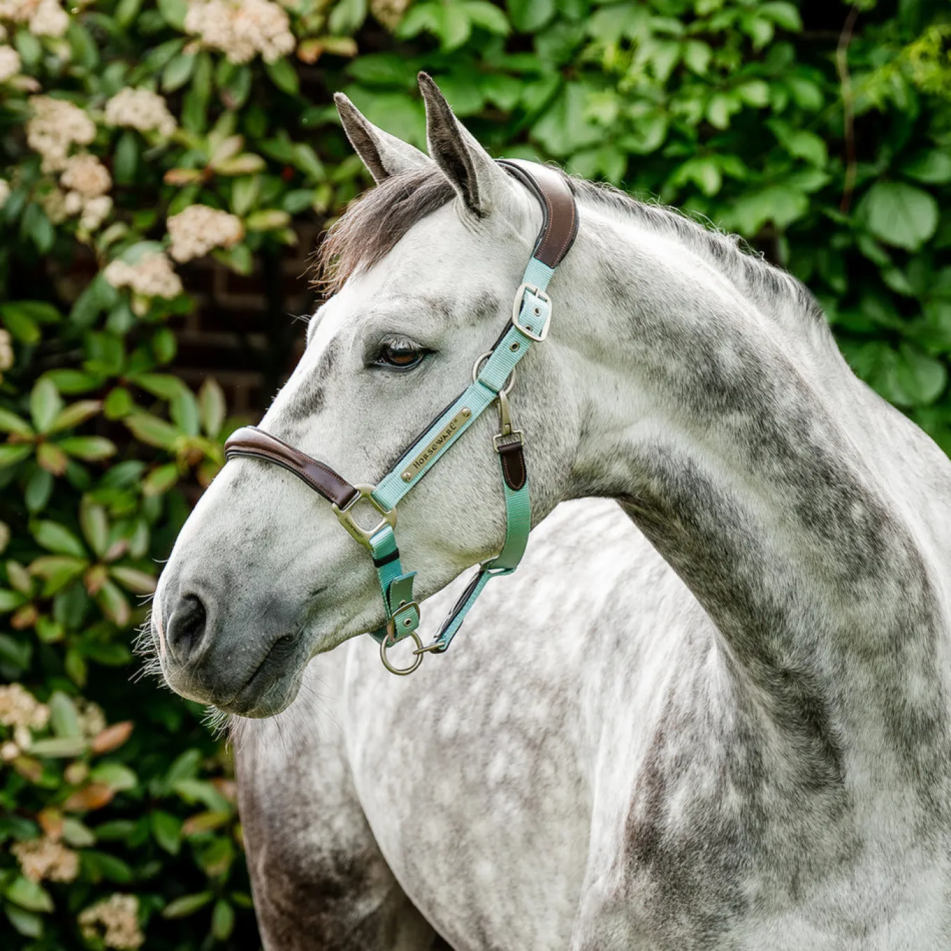 Horseware Signature Competition Halter