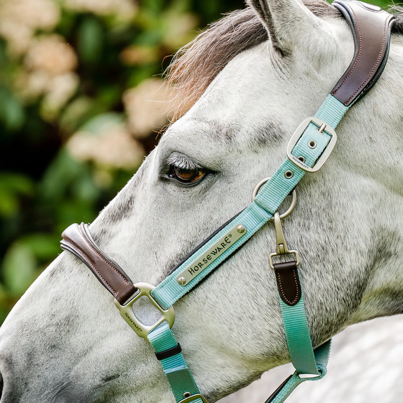Horseware Signature Competition Halter