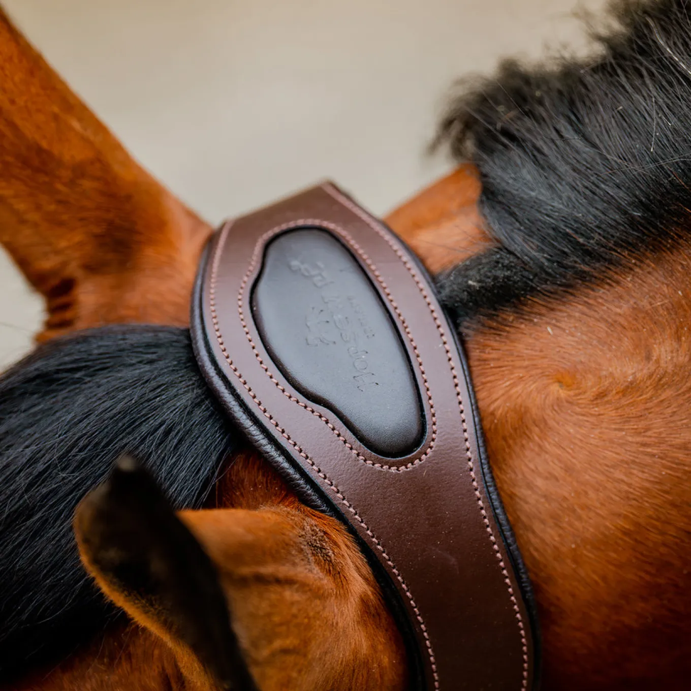 Horseware Signature Competition Halter