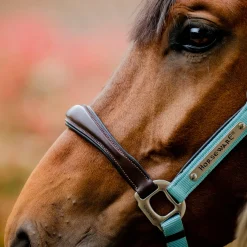 Horseware Signature Competition Halter