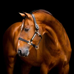 Horseware Signature Leather Halter