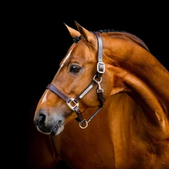 Horseware Signature Leather Halter