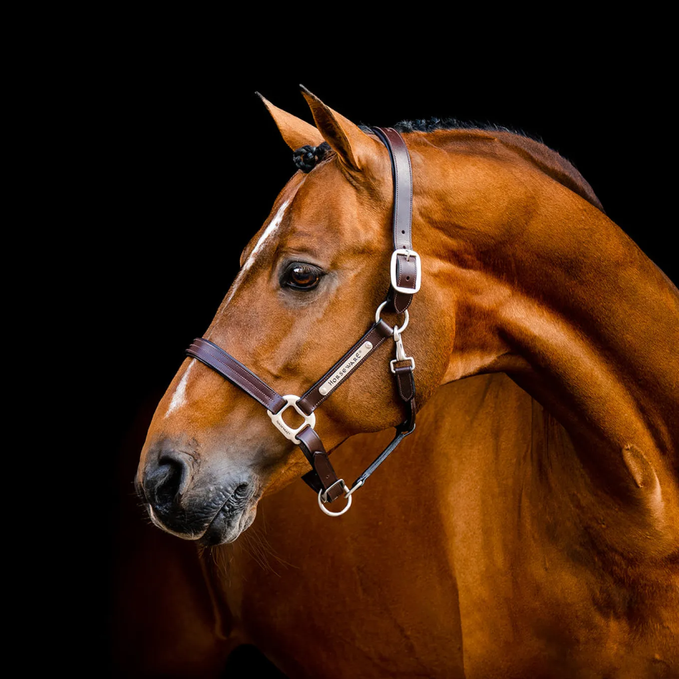 Horseware Signature Leather Halter