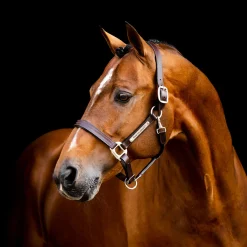 Horseware Signature Leather Halter