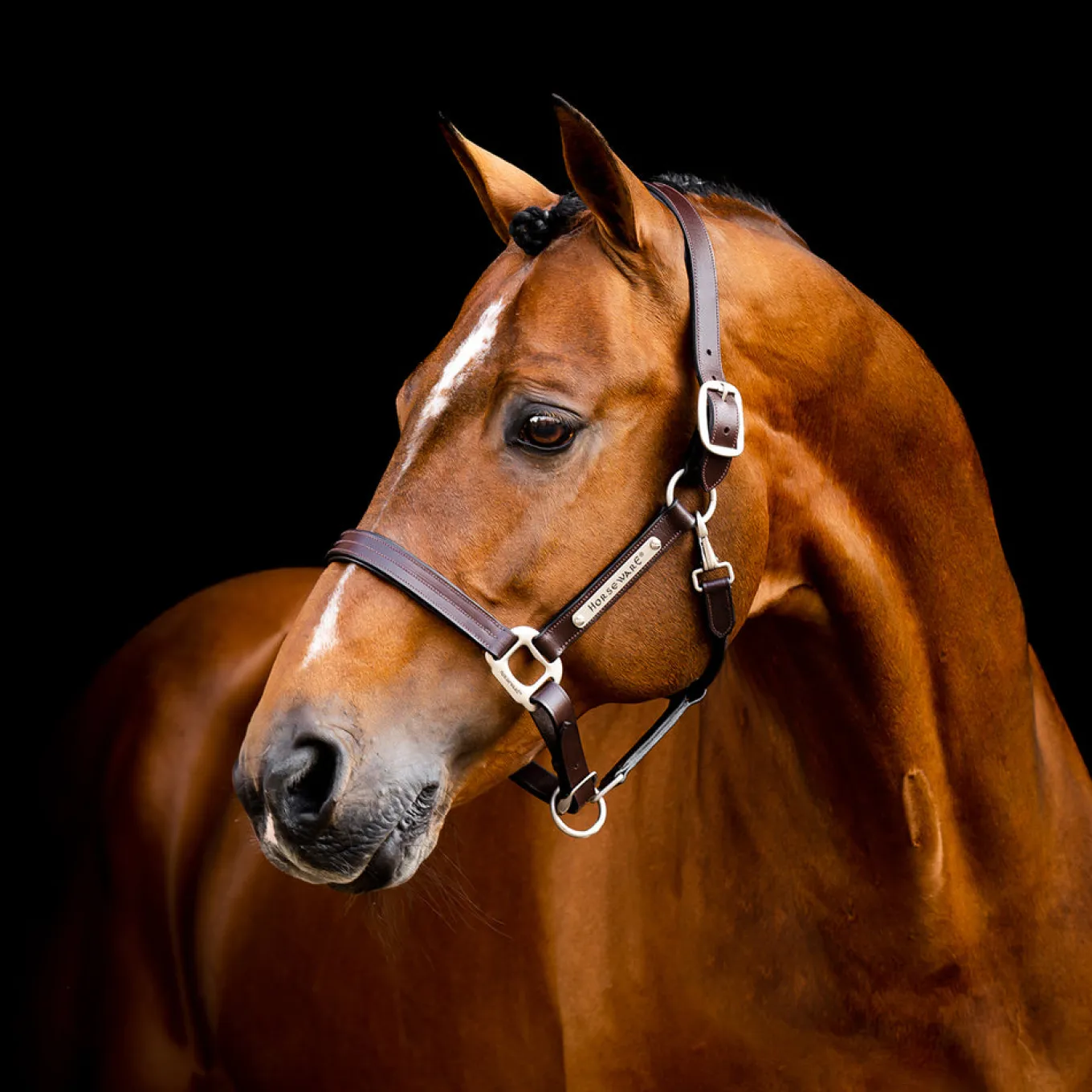 Horseware Signature Leather Halter