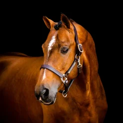 Horseware Signature Leather Halter