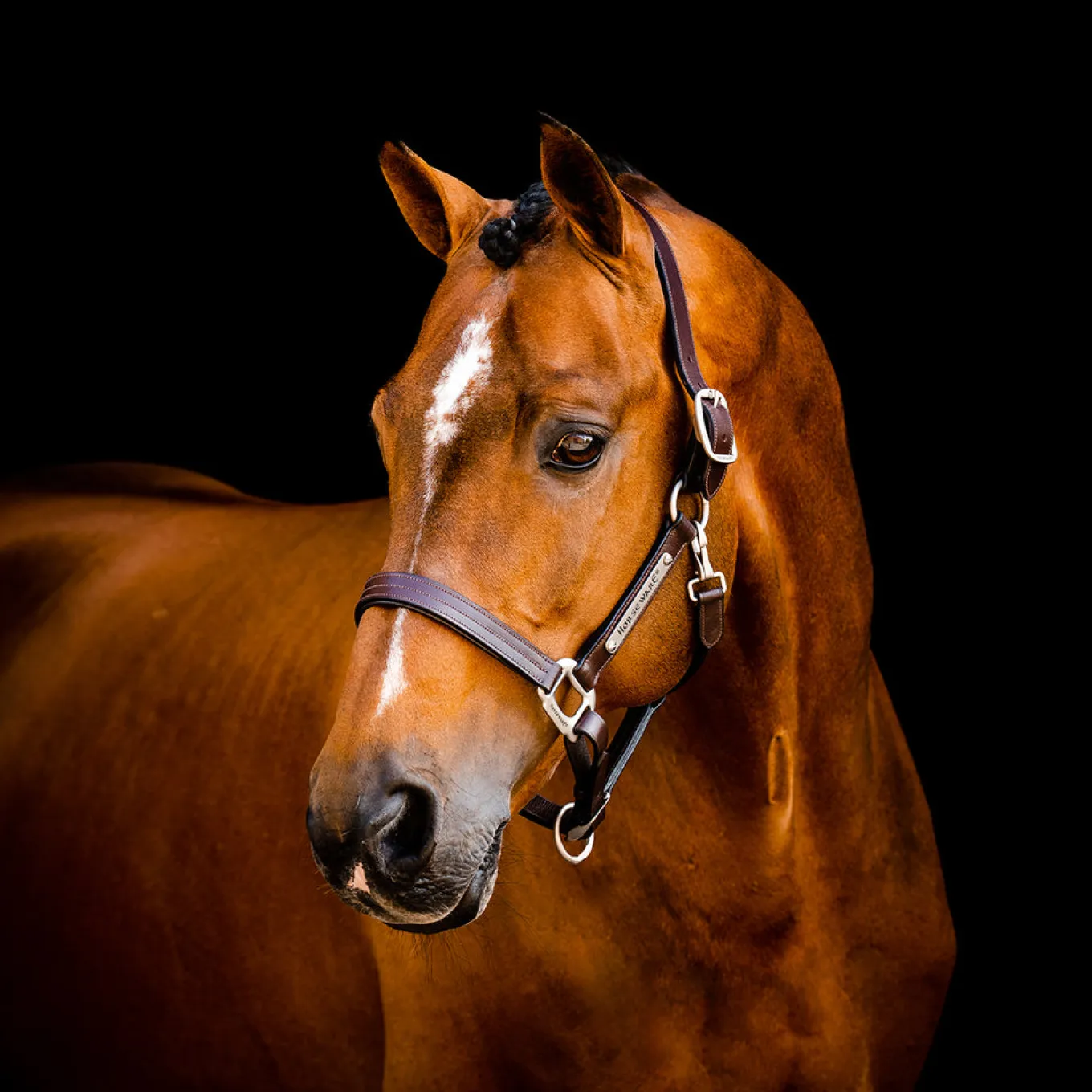 Horseware Signature Leather Halter
