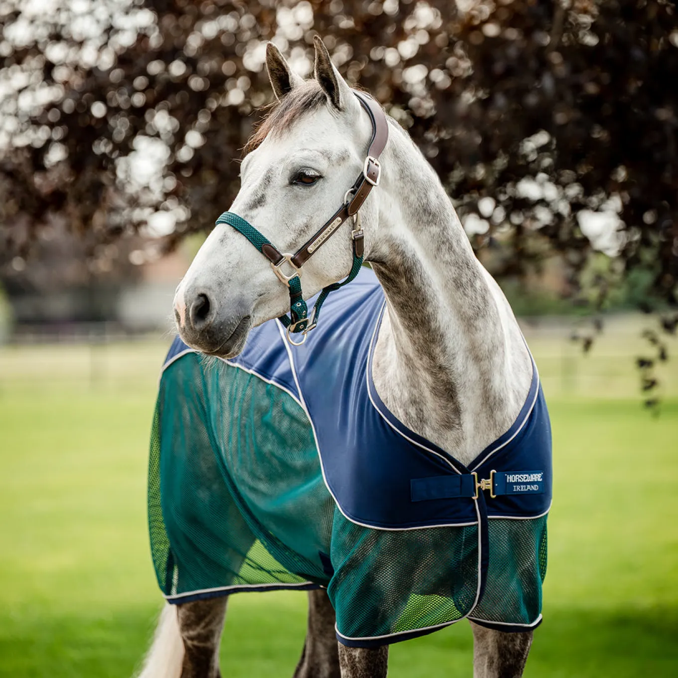 Horseware Signature Sport Cooler
