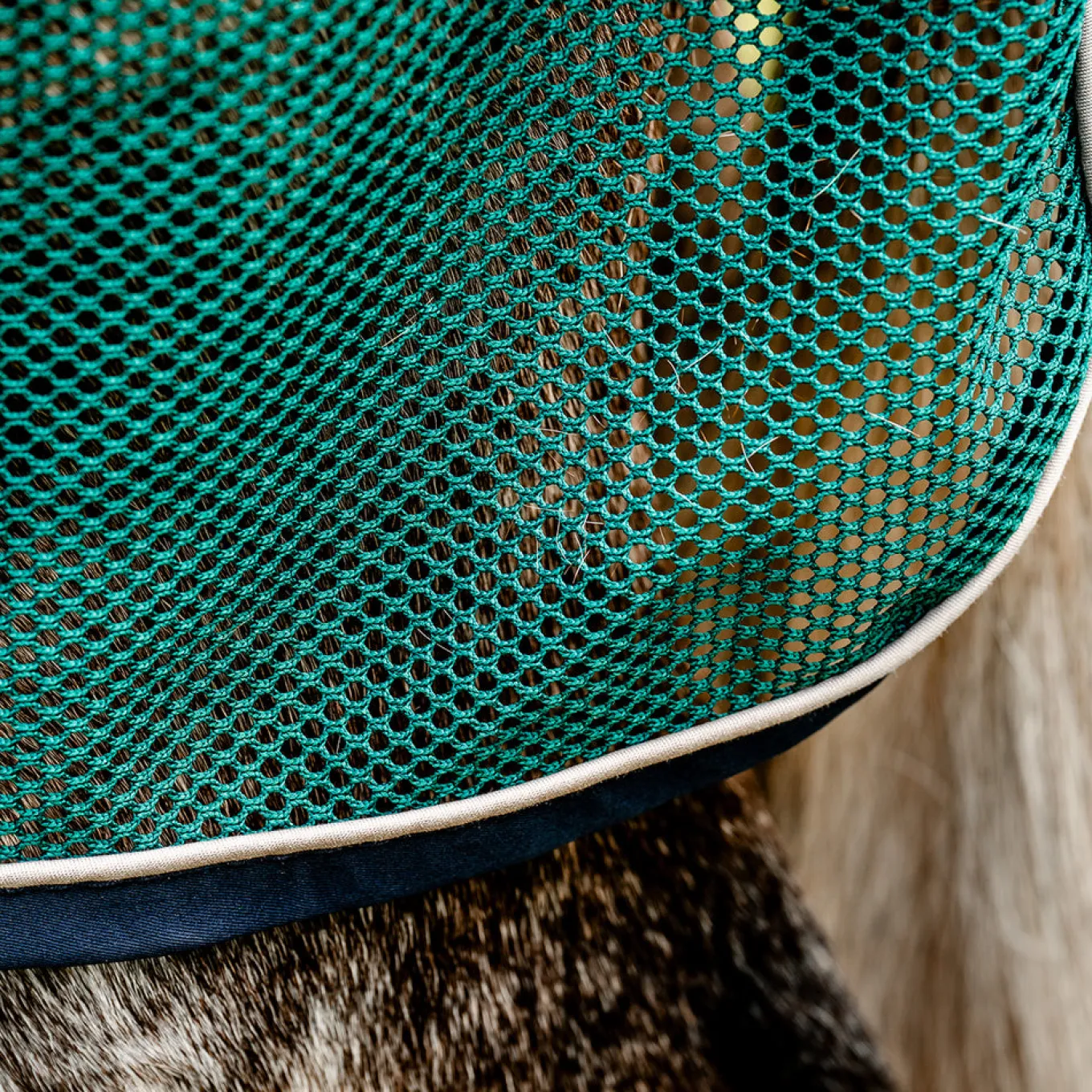 Horseware Signature Sport Cooler
