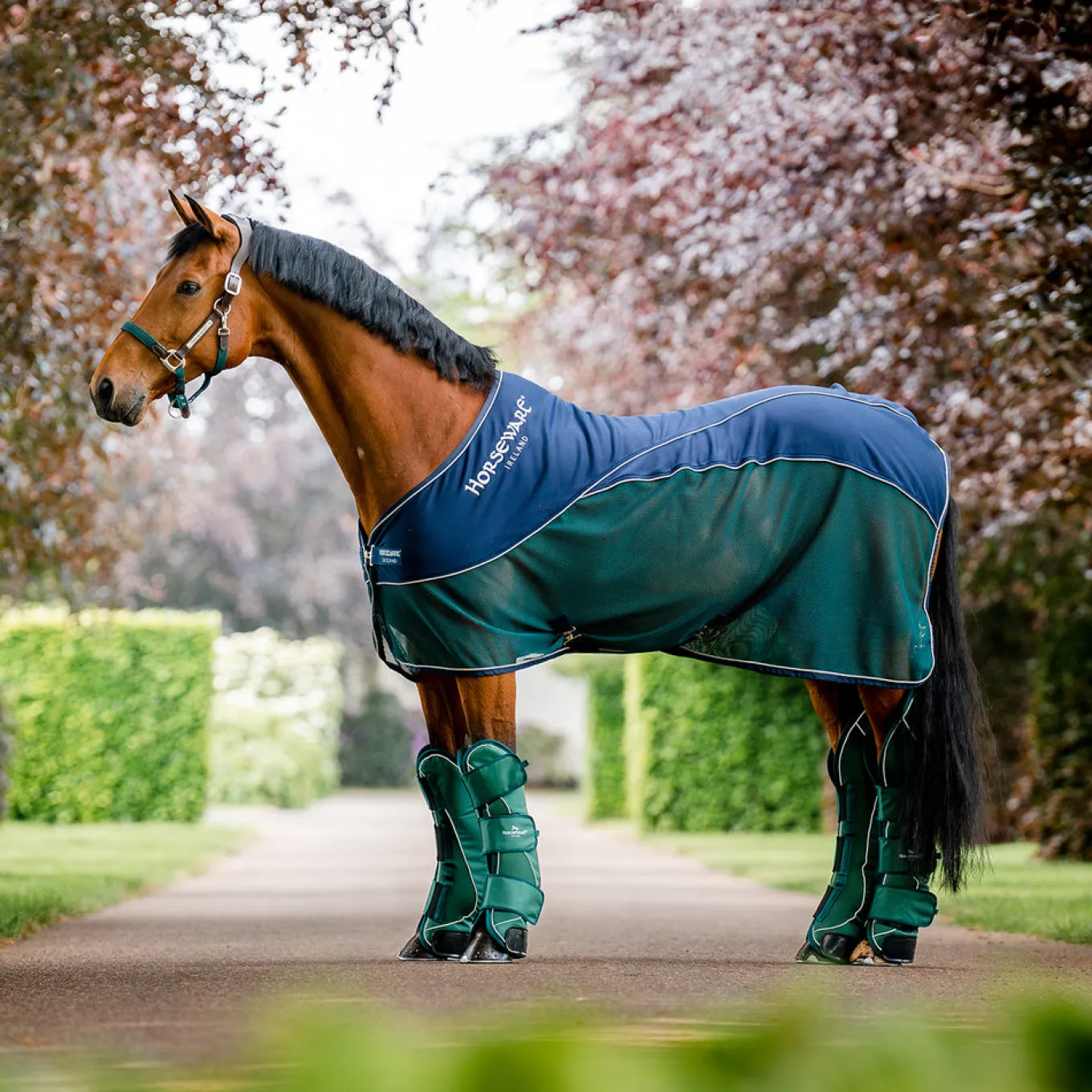 Horseware Signature Travel Boots