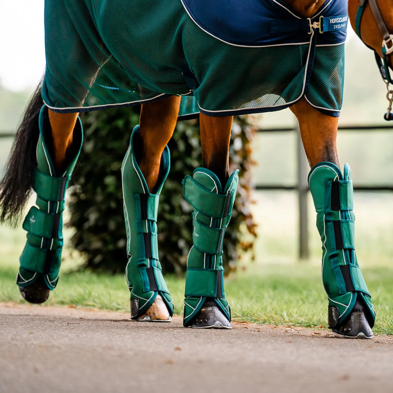 Horseware Signature Travel Boots