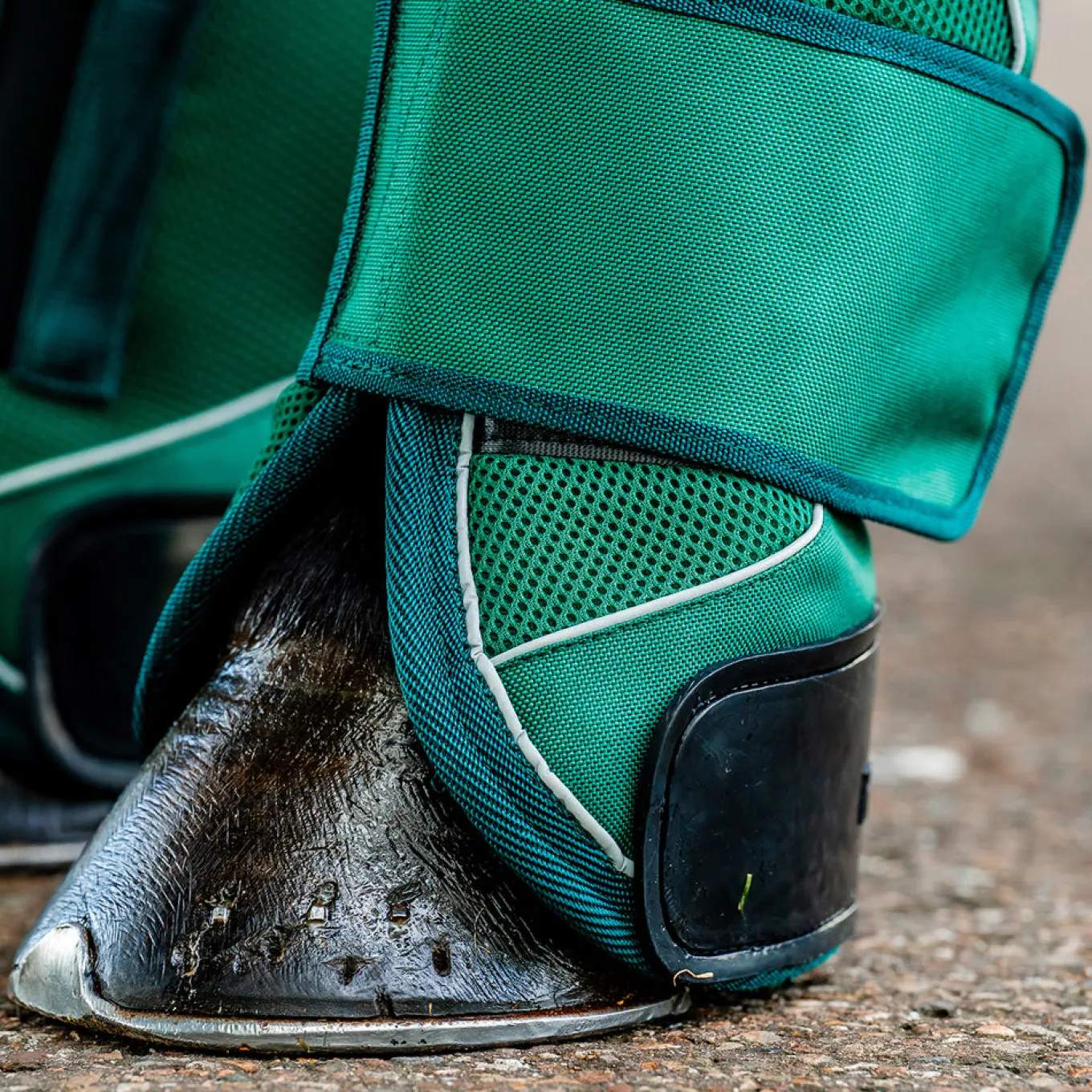Horseware Signature Travel Boots