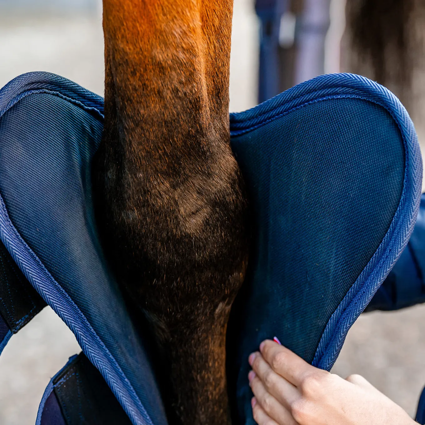 Horseware Signature Travel Boots