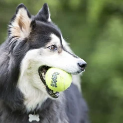 Kong Airdog SqueakAir Ball Medium - 3 Pack