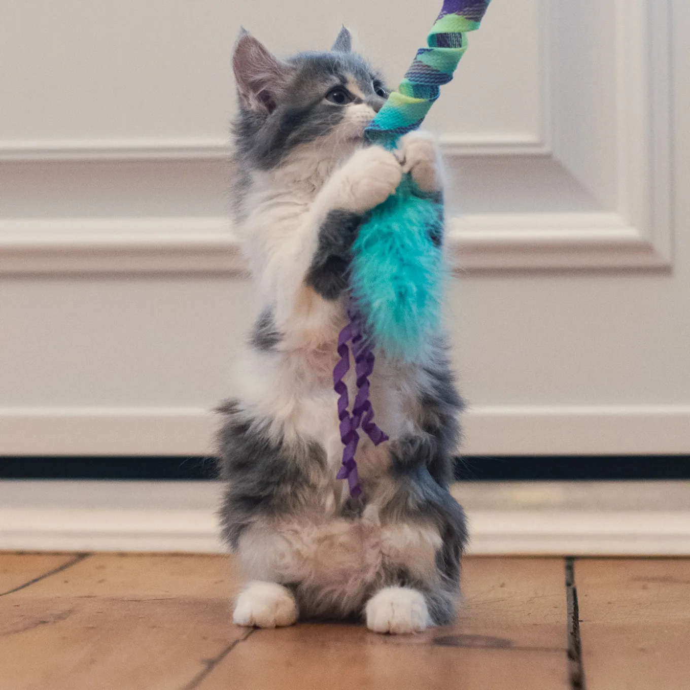 Kong Curlz Cat Teaser