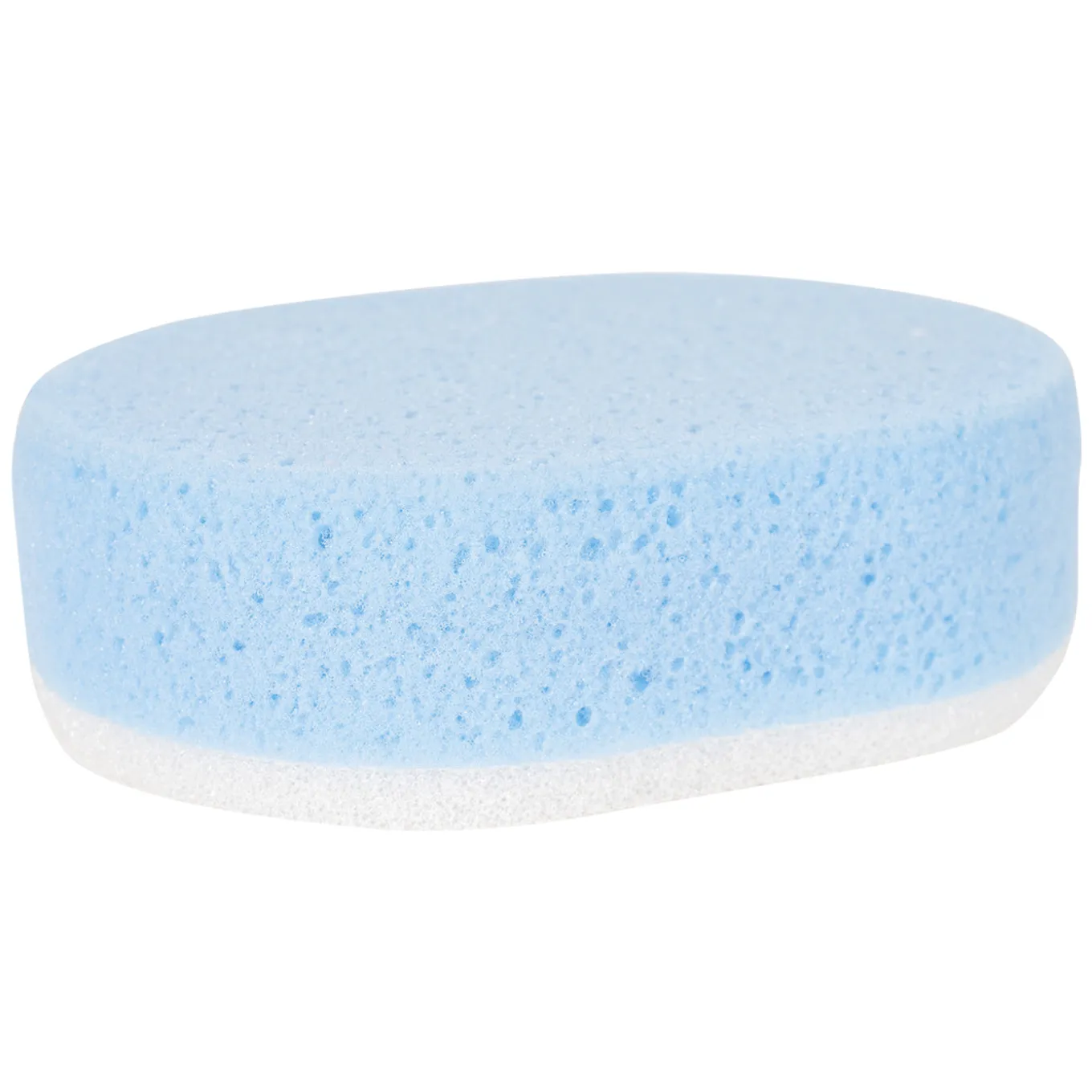 Large Scrub Sponge