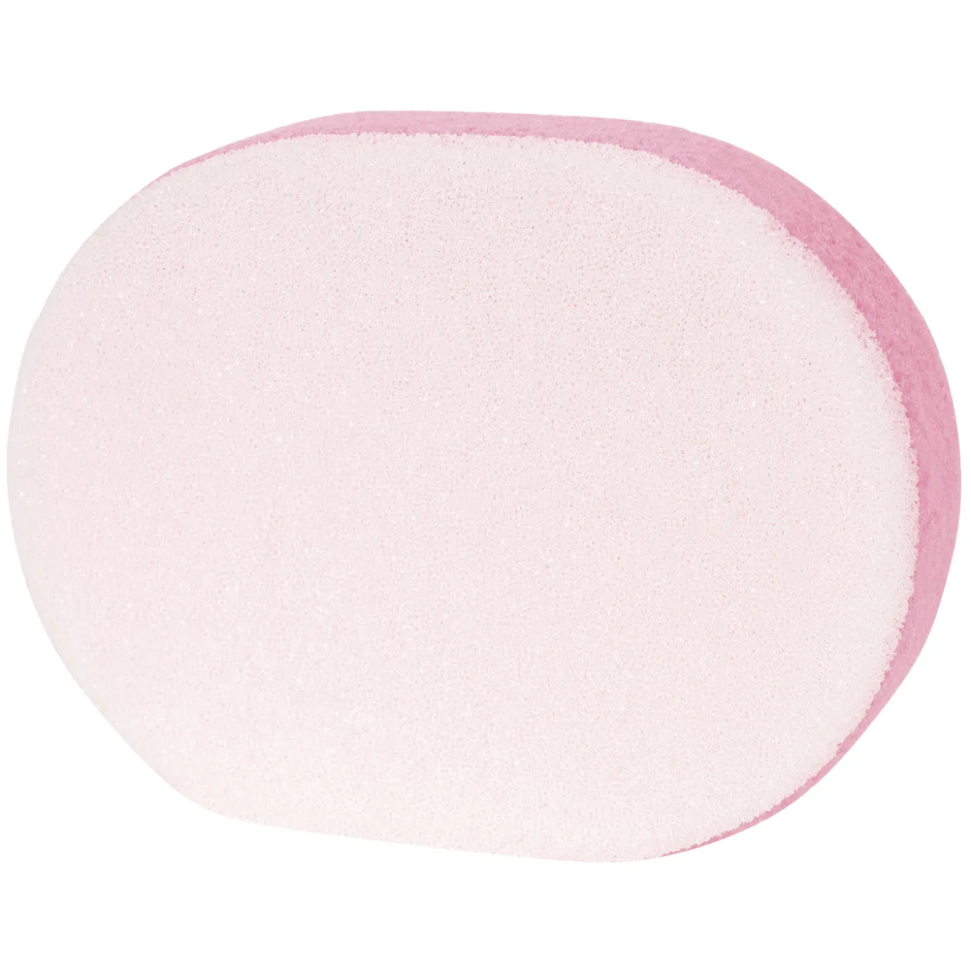 Large Scrub Sponge
