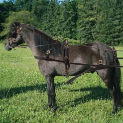 Leather Miniature Driving Harness