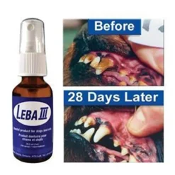 Leba III Dental Spray 29 mL