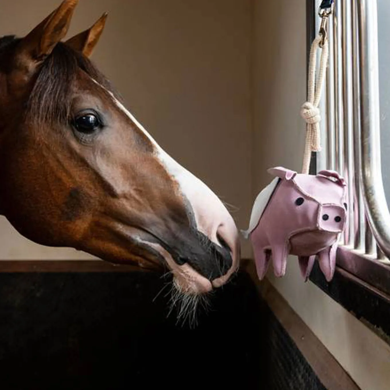 LeMieux Flying Pig Horse Toy